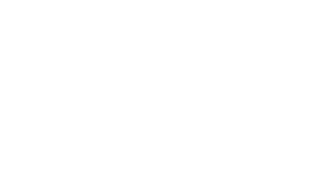 Renowise Logo Watermark